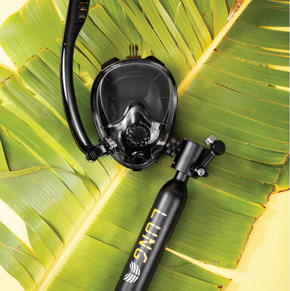 Lung Sub-Mask Accessory